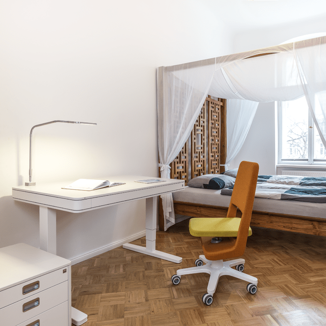 moll ergonomic study and office desks